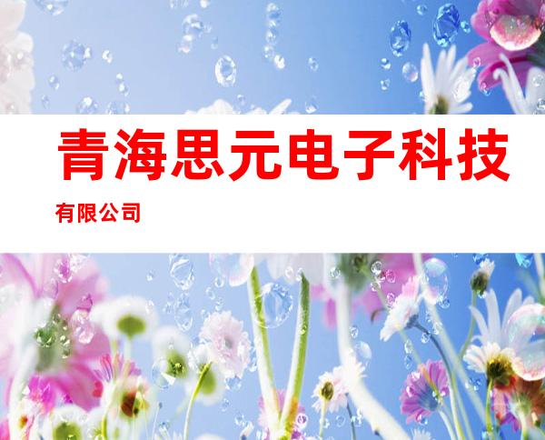 青海思元电子科技有限公司